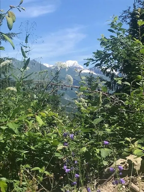 Montchavin Les Cotes Vue Mont-Blanc Apartment La Plagne-Tarentaise France